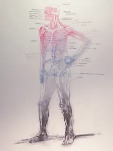 Figure Drawing: Overlay
